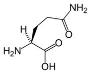 L-glutamina en Keto Diet